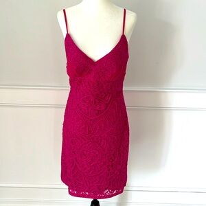 Sue Wong lace fuchsia pink fitted dress